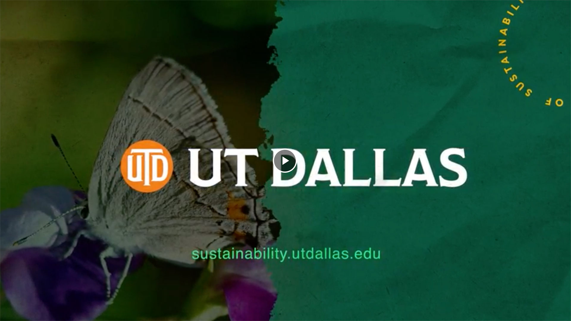 Goal 5: Gender Equality - UT Dallas Earth Week - Sustainability - The  University of Texas at Dallas