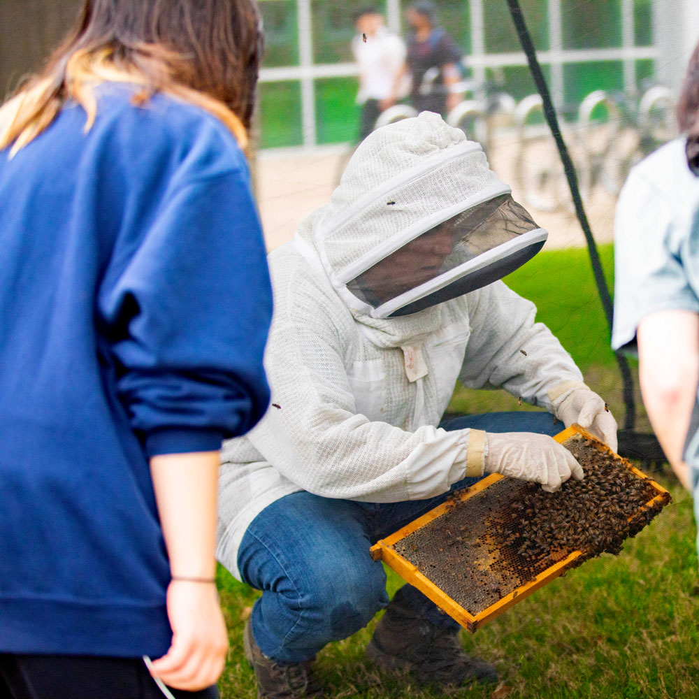 Earth Week. A professor wearing a beekeeper’s protective gear demonstrating a frame of honeycomb to nearby students.