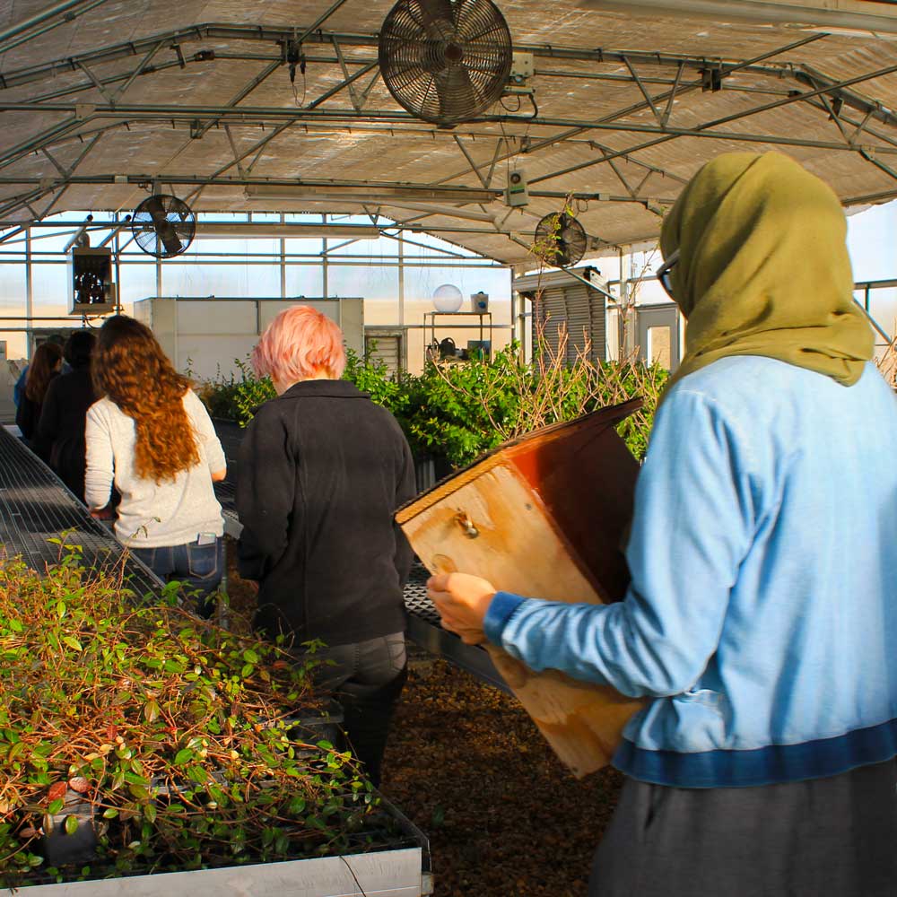 A ground of students inside one of the UTD greenhouses.