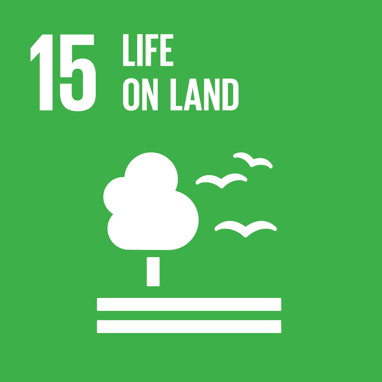 Goal 15: Life on Land - Protect, restore and promote sustainable use of terrestrial ecosystems, sustainably manage forests, combat desertification, and halt and reverse land degradation and halt biodiversity loss