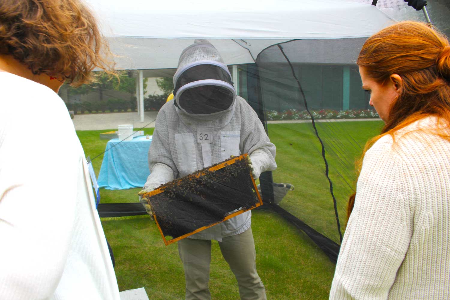 An Eco Rep introducing onlookers to the UTD honey bees.