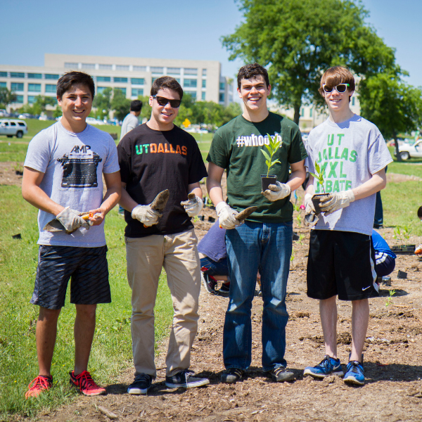 Sustainability Honors