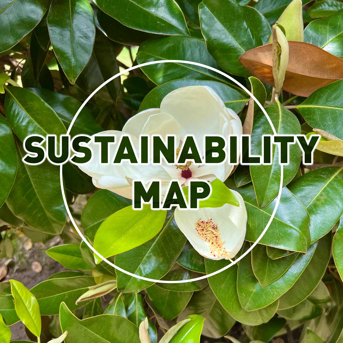 Sustainability Map - Download the Full-Size Map