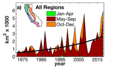 A graph showing a rize in the number of square kilometers burned by wildfires in California over the past 48 years.