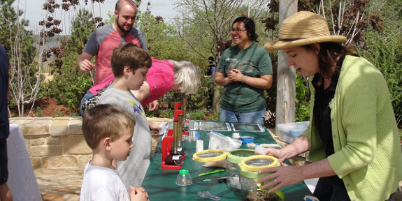 UTeach Program Writes Sustainable Lesson Plans. Adults and children around an outdoor table looking at specimen jars.