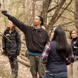 Texas Master Naturalists. Students in the woods pointing to something up in the trees, beyond the edge of the photograph.
