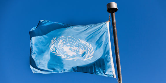 Climate Action Simulation for Students. The flag of the United Nations.