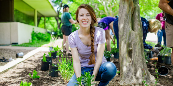 Get Funding for Your Sustainability Projects. A group of students adding new plants into a planting bed around a tree.