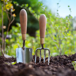 Discover Six Eco-Friendly “Adders” & “Subtractors”. Gardening tools with their tips planted into the ground.