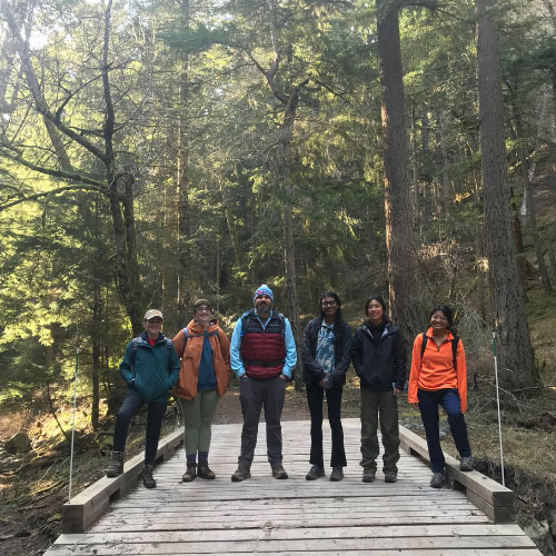 A group of people standing on a bridge in a forrest.