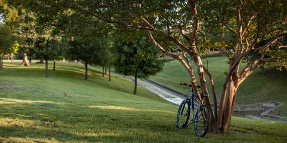 New Program: Free Shower Pass for Bike Commuters. A bicycle leaning against a tree.