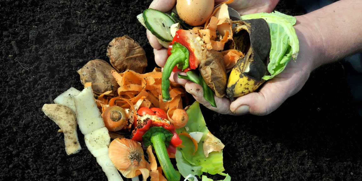 A pair of hands holding food scraps.