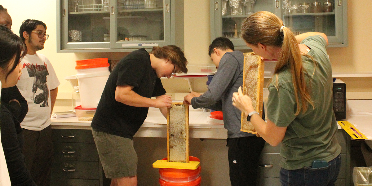 Learning about our campus apiaries and honeybee colonies from Dr. Christina Thompson.