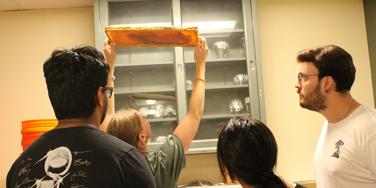 Learning about our campus apiaries and honeybee colonies from Dr. Christina Thompson.