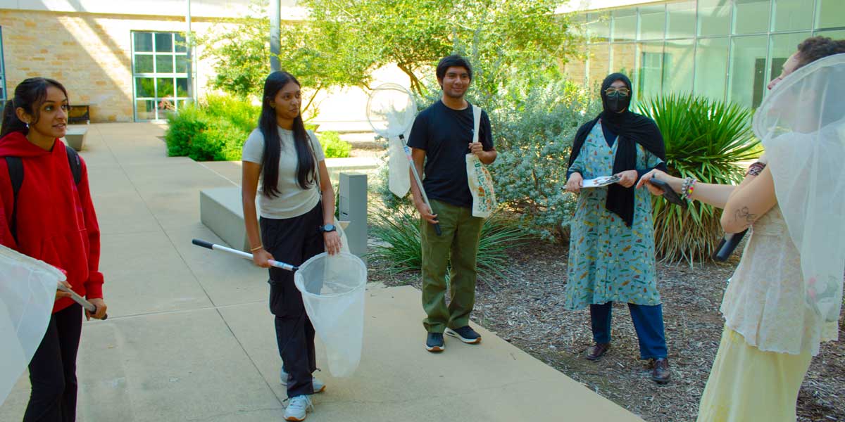 Getting ready to study butterflies.