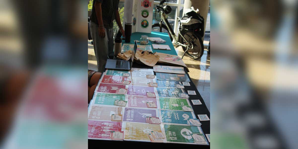 Learning about the United Nations Sustainable Development Goals.