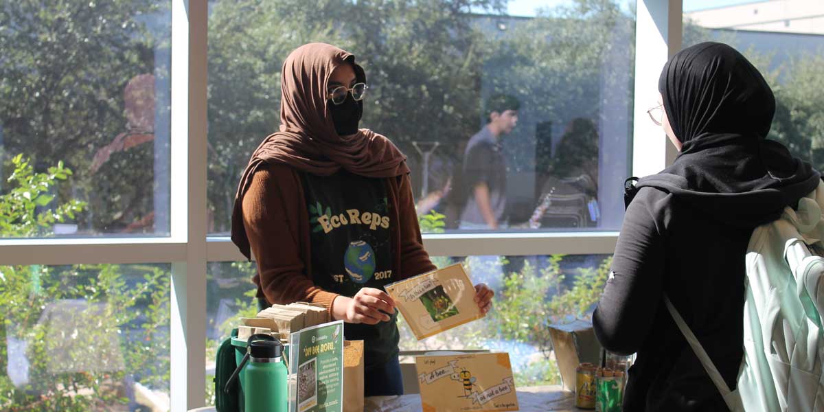 Learning about bees at UTD.