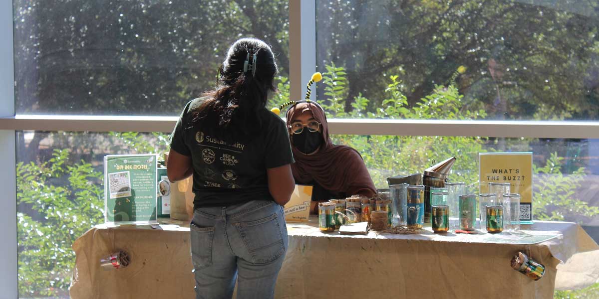 Learning about bees at UTD.