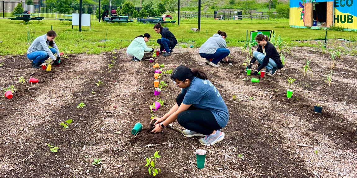 Students planting seedlings at a field in the Eco Hub.
