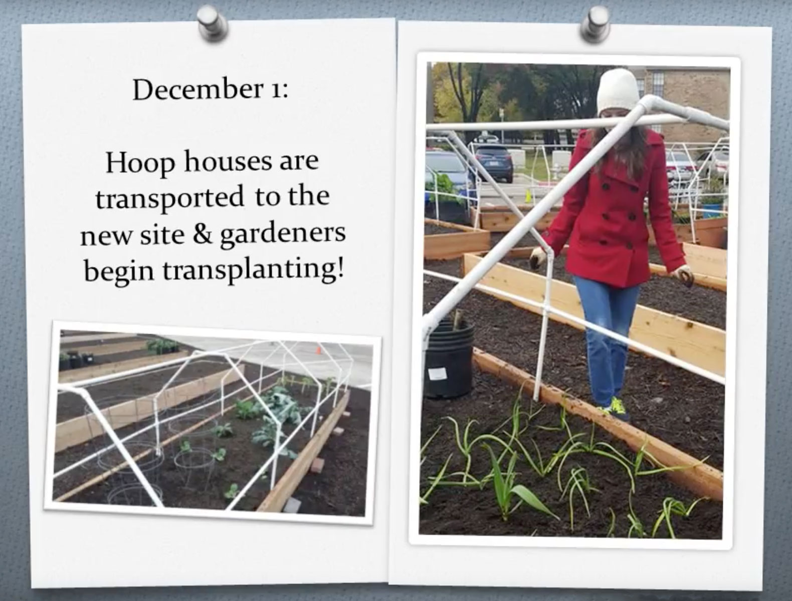 An open scrapbook full of photos and notes from the garden, one of which reads “December 1: Hoop houses are transported to the new site & gardeners begin transplanting!”