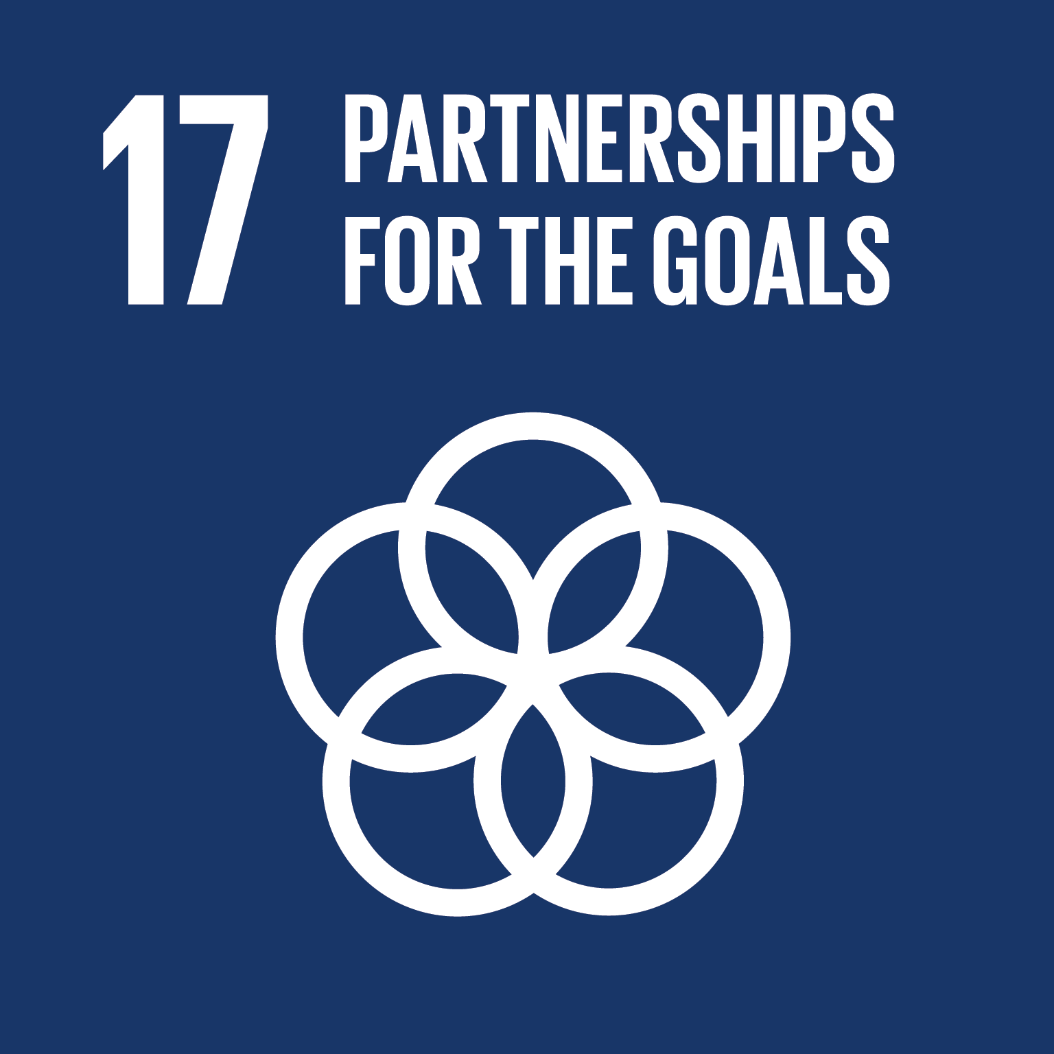 Goal 17: Partnerships for the Goals - Strengthen the means of implementation and revitalize the global partnership for sustainable development