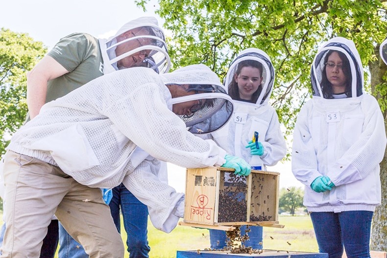 Students in protective beekeeper gear open a hive.