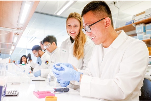 A group of researchers study a sample.